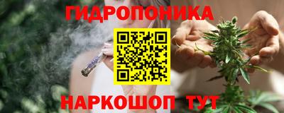 скорость Канаш